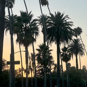 Bundle 3+ Items for %30 off or more!😊